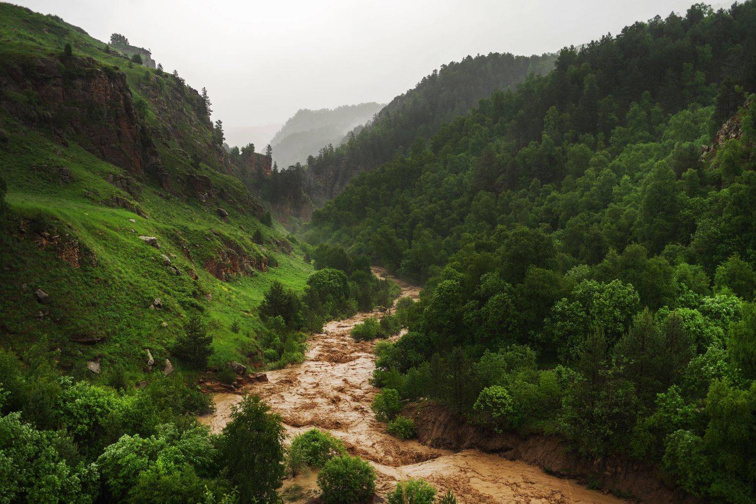 , Ольга Беккер