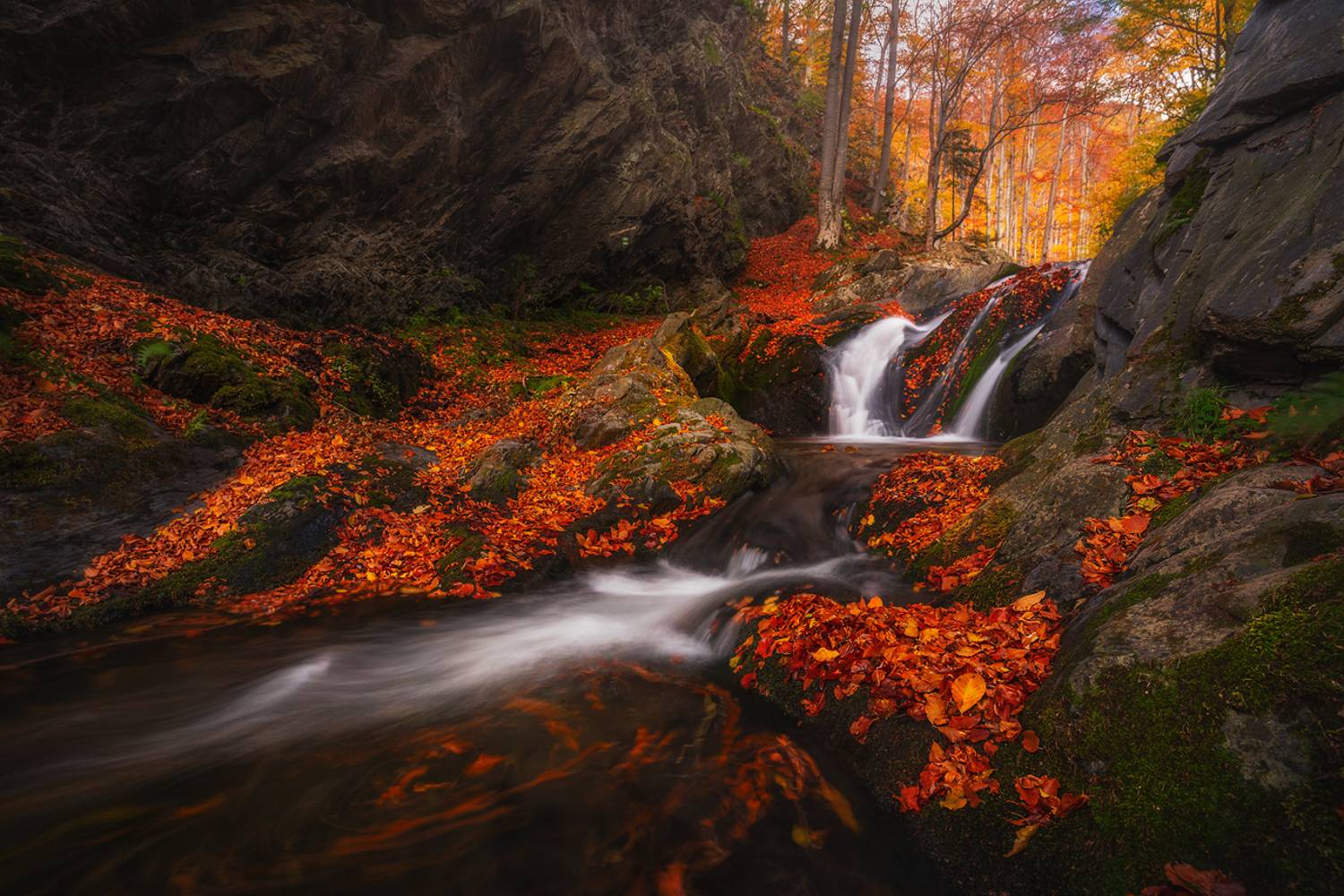 landscape, nature, scenery, forest, wood, autumn, fall, waterfall, river, mountain, staraplanina, bulgaria, лес, Александър Александров