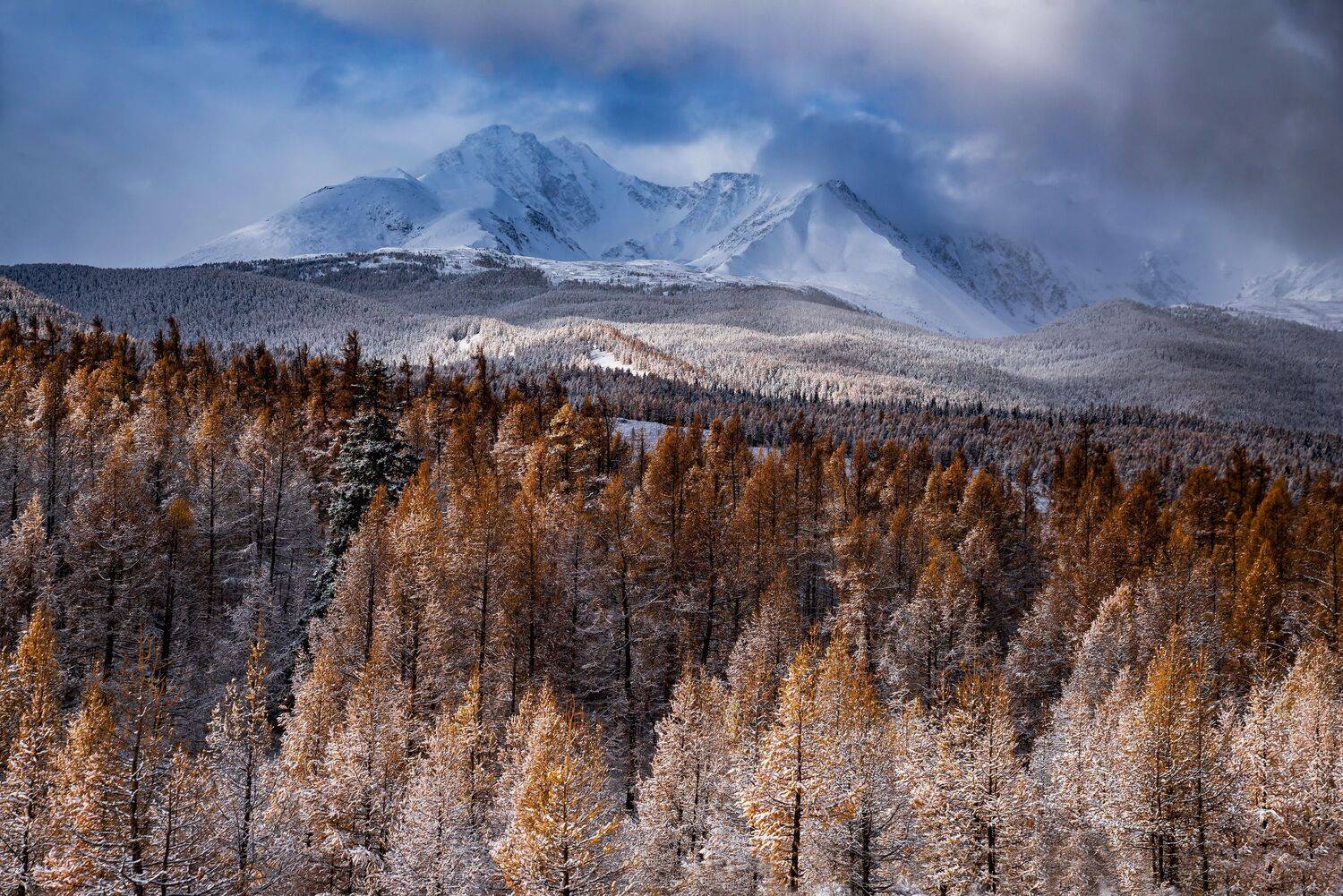 алтай. осень. горы., Евгений Дроботенко