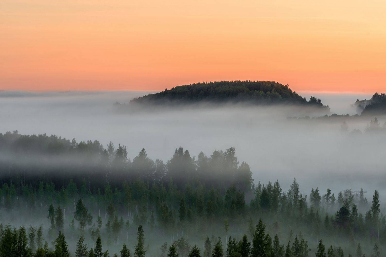 , Виктор Желенговский
