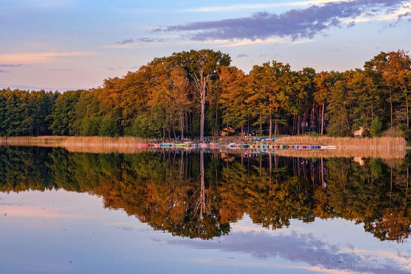 Reflections фото превью