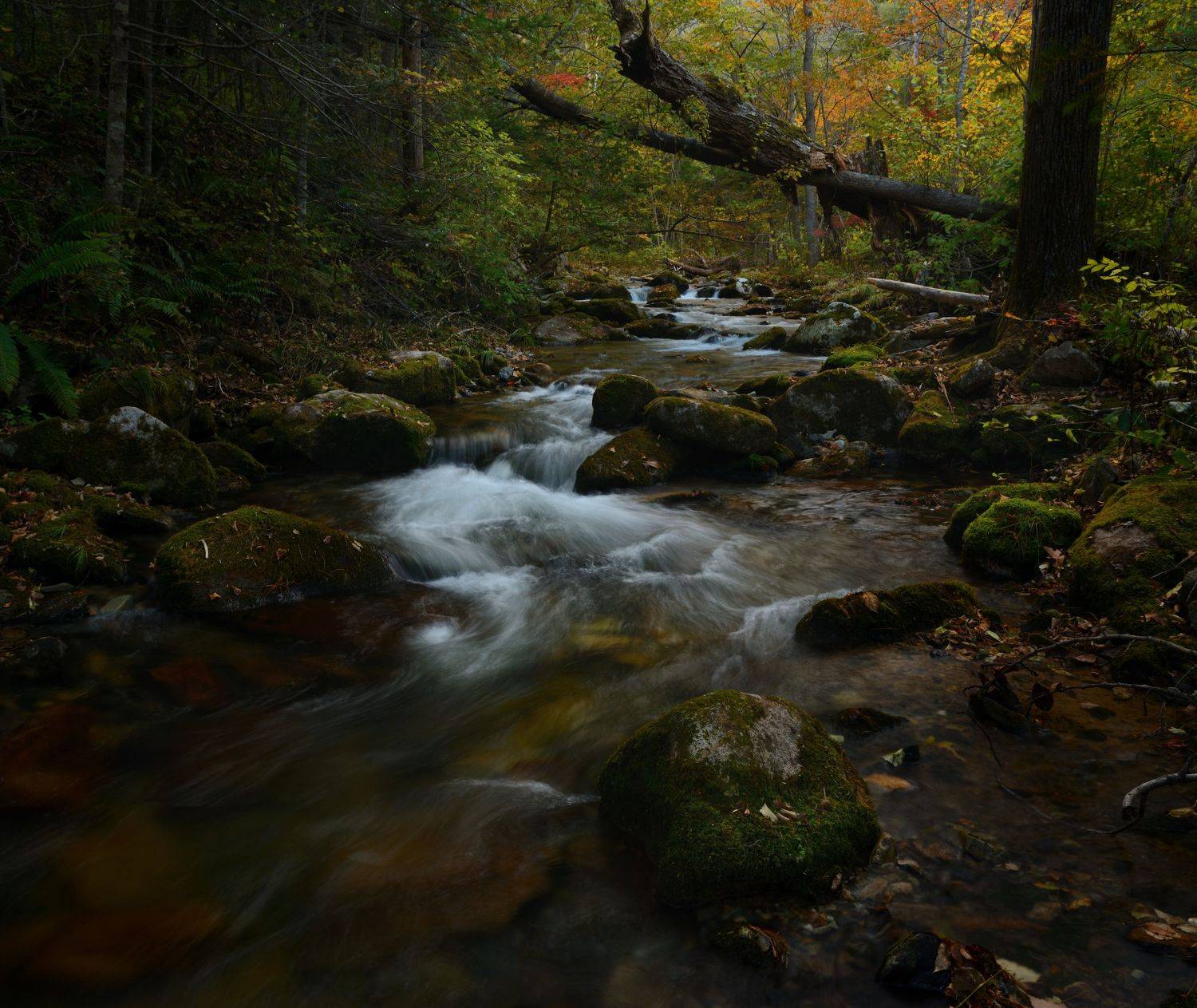 , Едуш Сергей