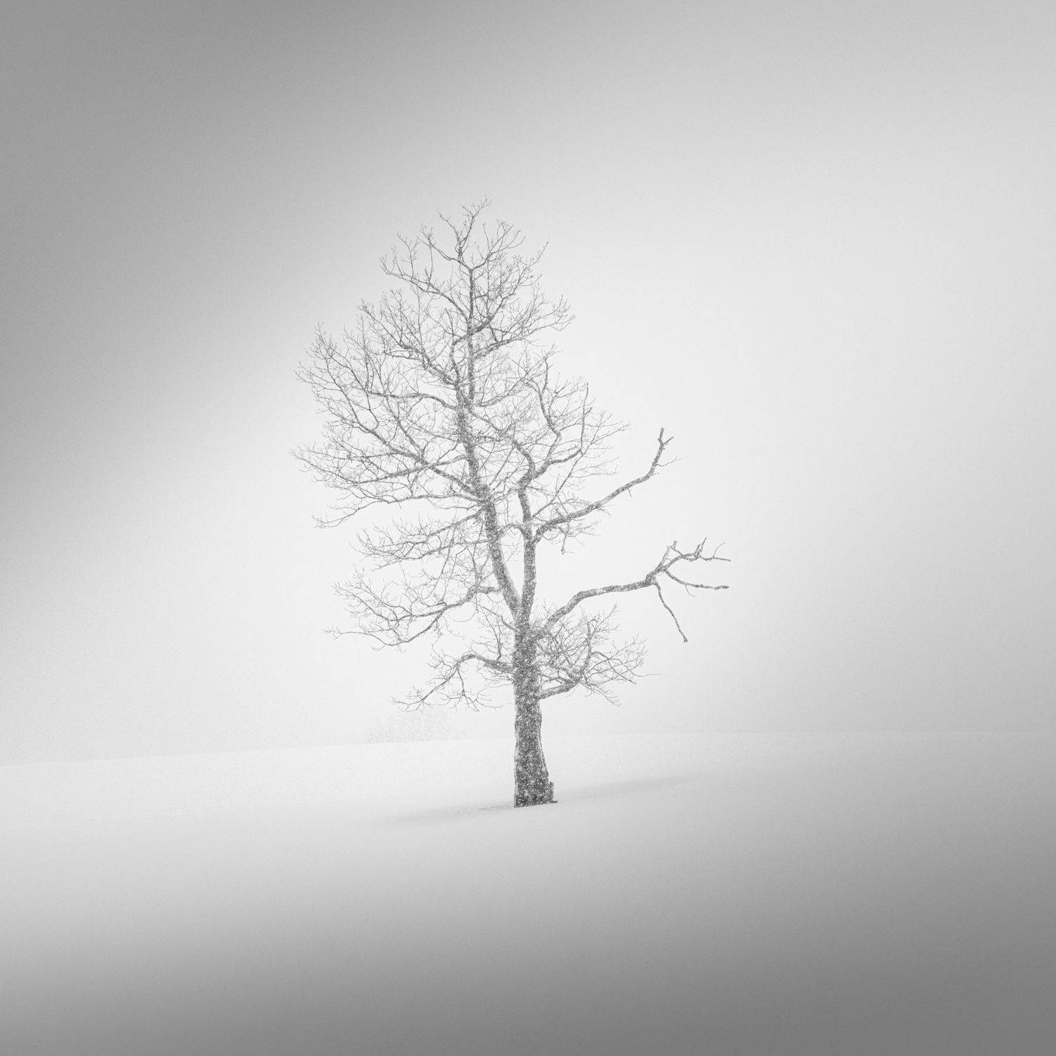 , Евгений Иванов