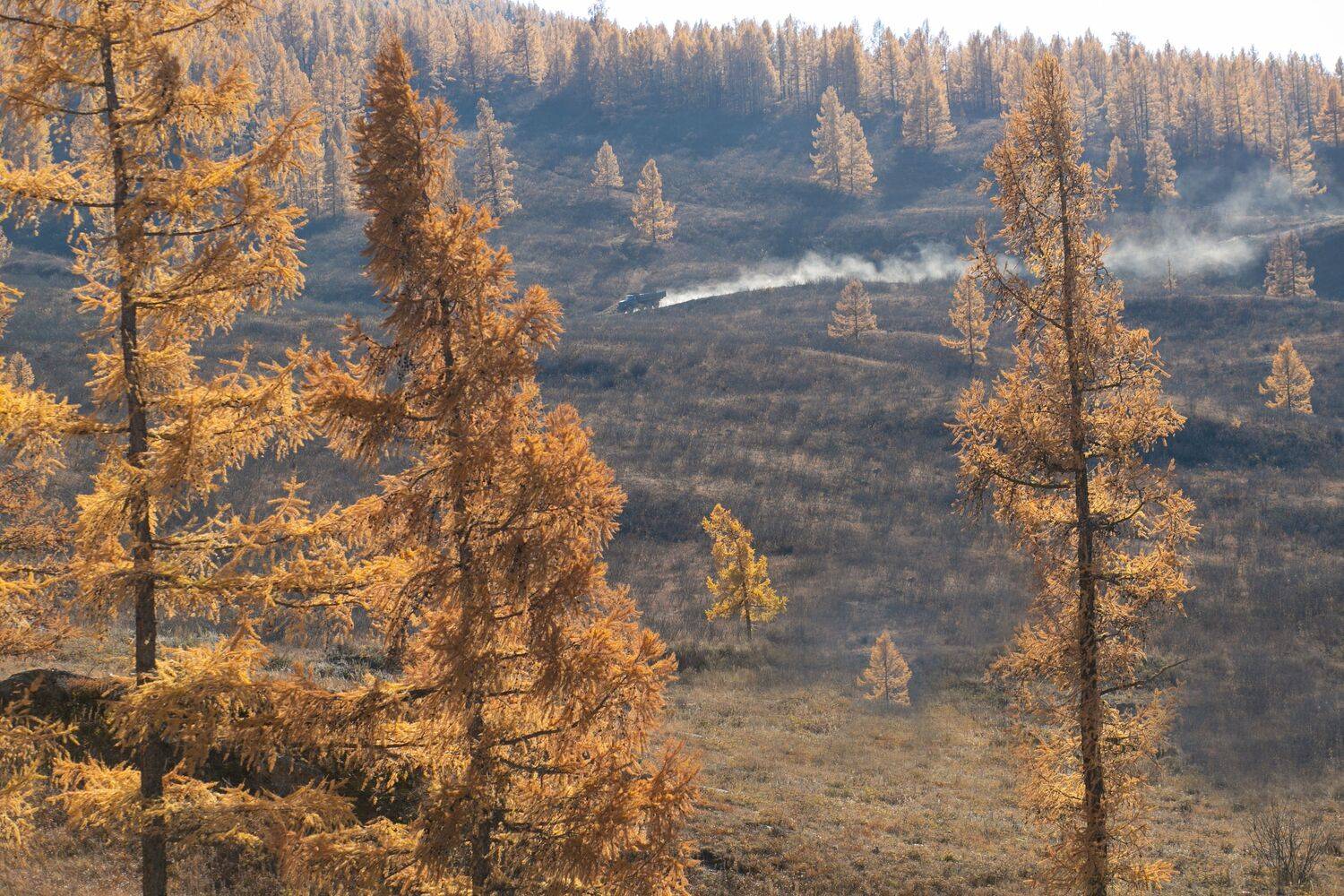 , Константин Буркин