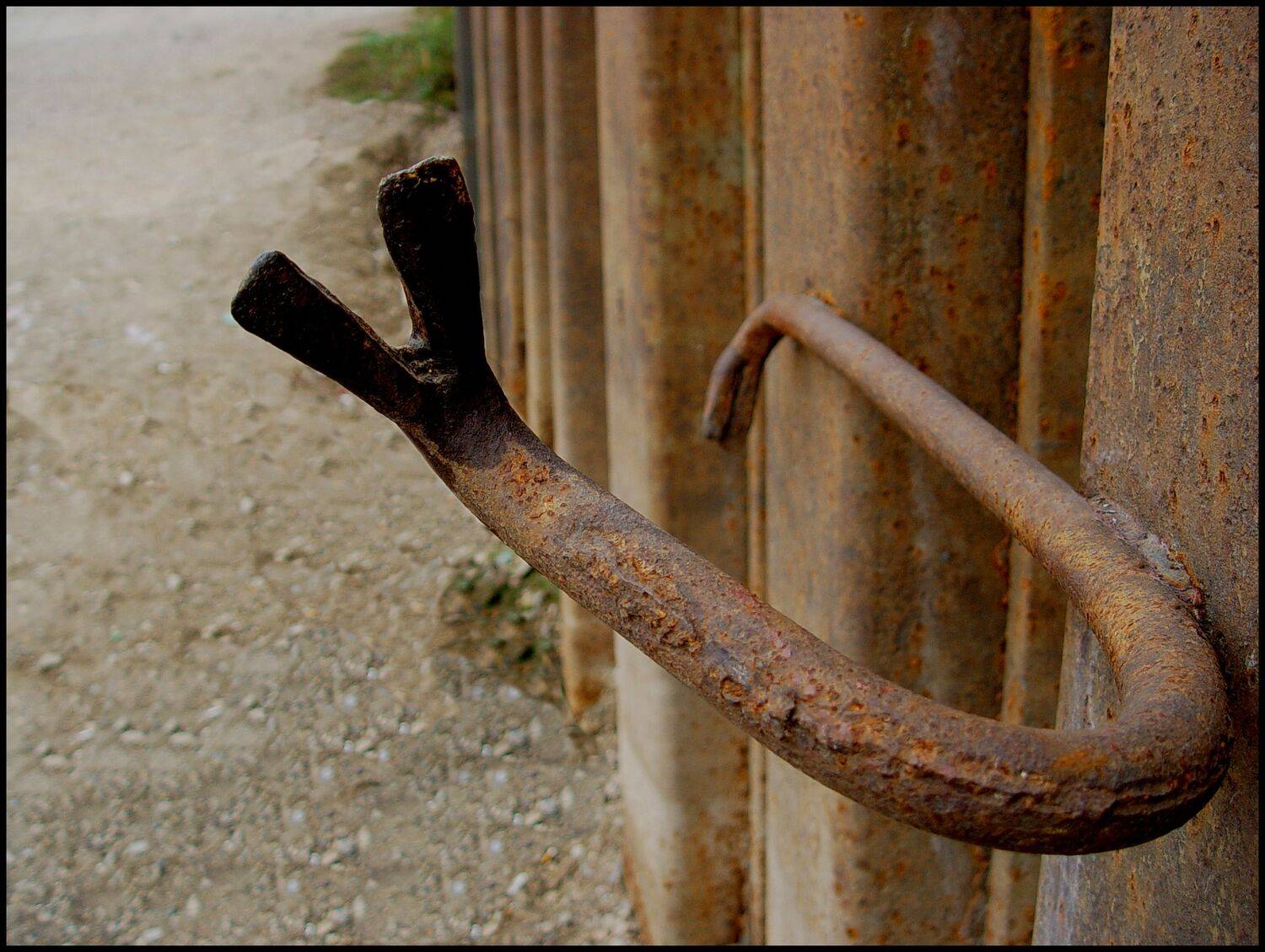 , Меднов Влад