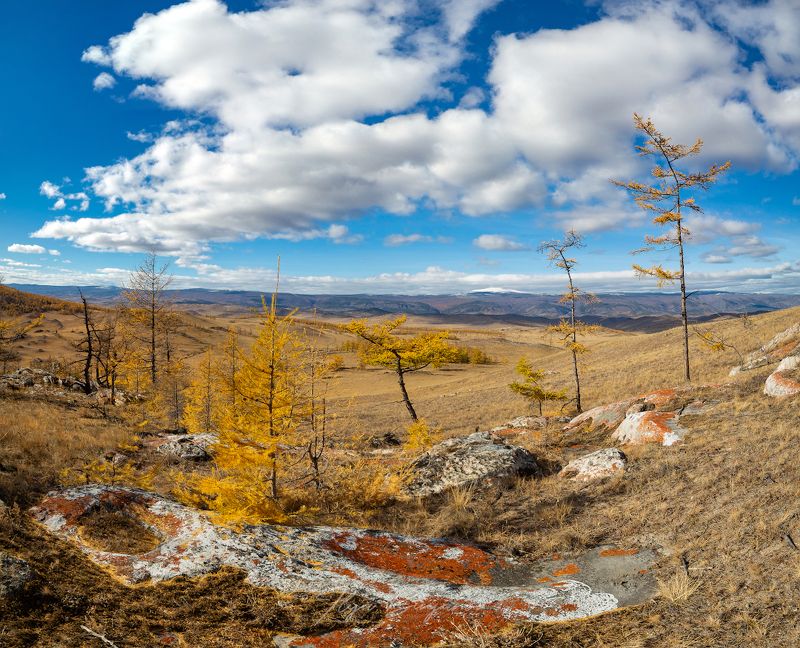 тажеранская степь, прибайкалье. байкал,  фото превью