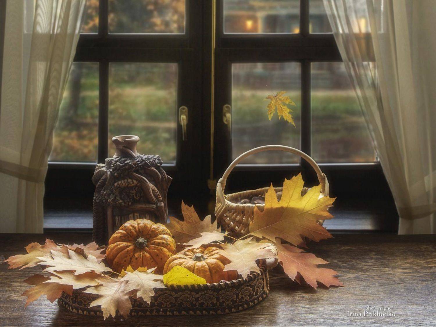 натюрморт, окно, осенняя композиция, Приходько Ирина