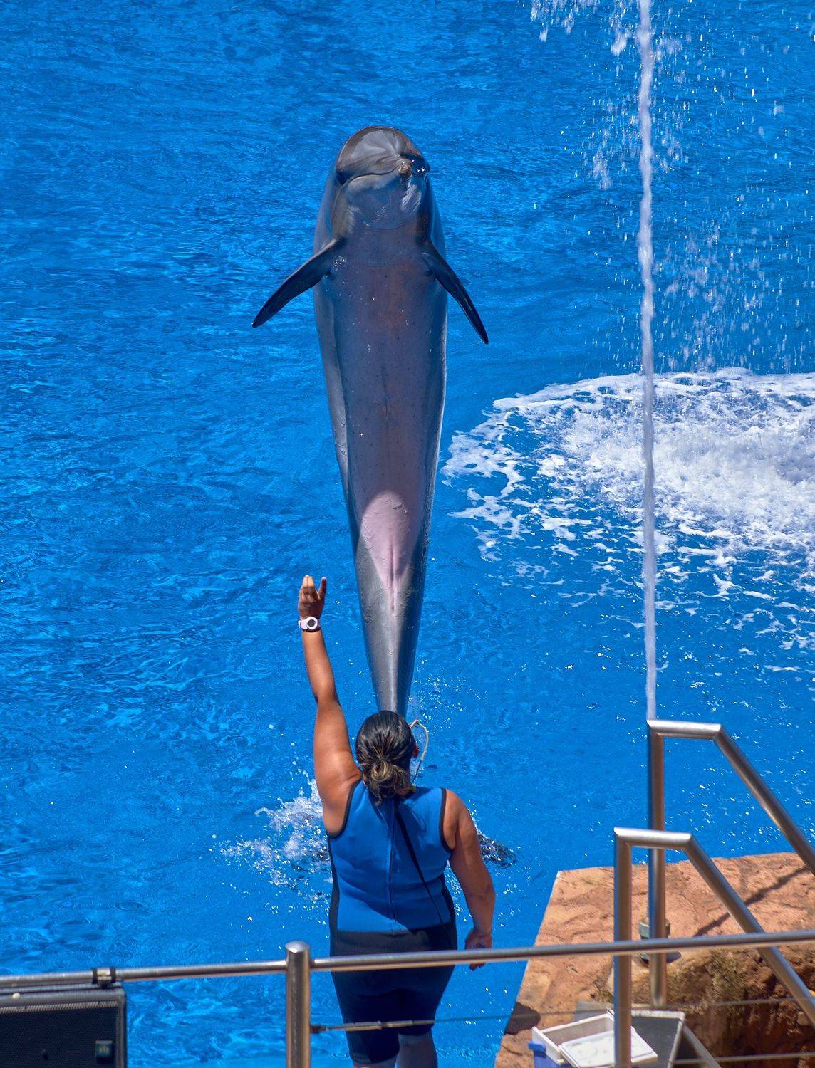 , Вячеслав Владимирович