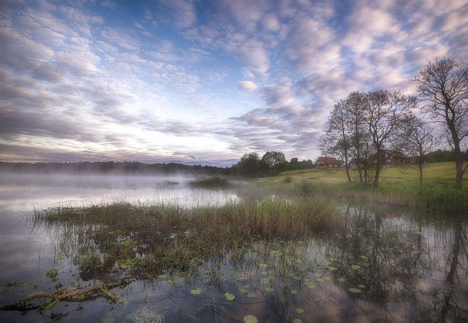 озеро, деревня, рассвет, туман, берег, Сергей Аникин