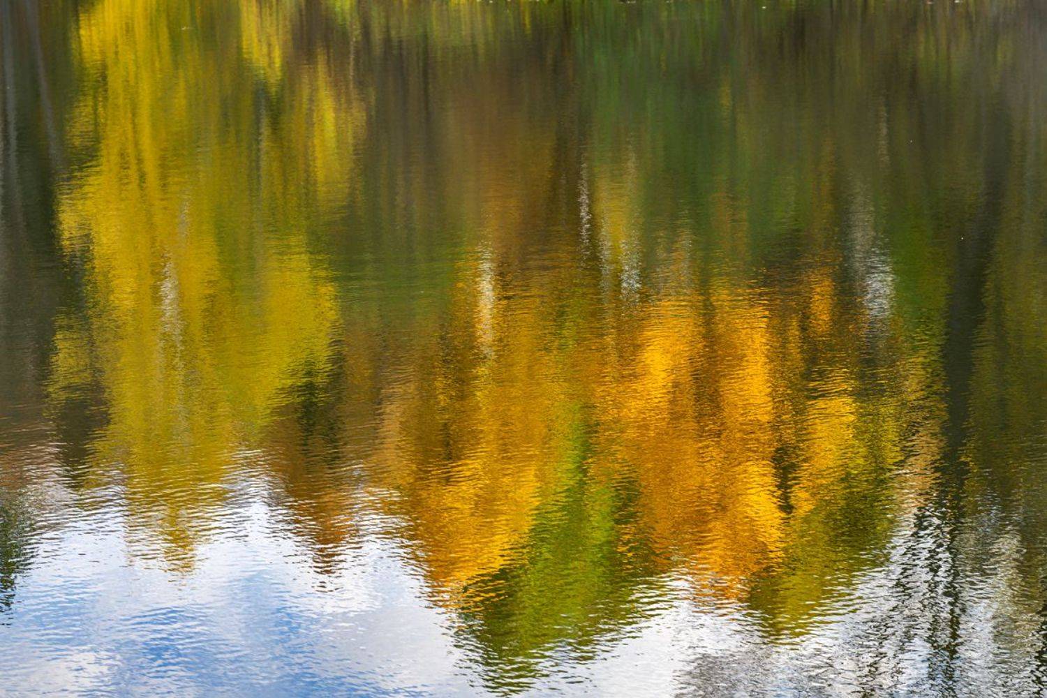 , Гордонов Юрий