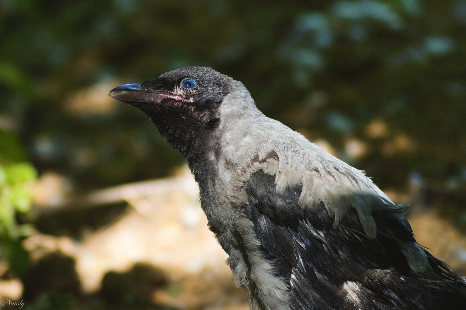 , Екимова Наталья