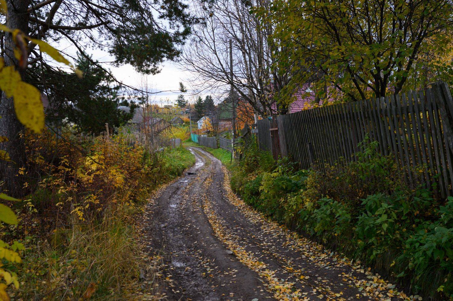 кудьма, осень,, Александр Малафеевский