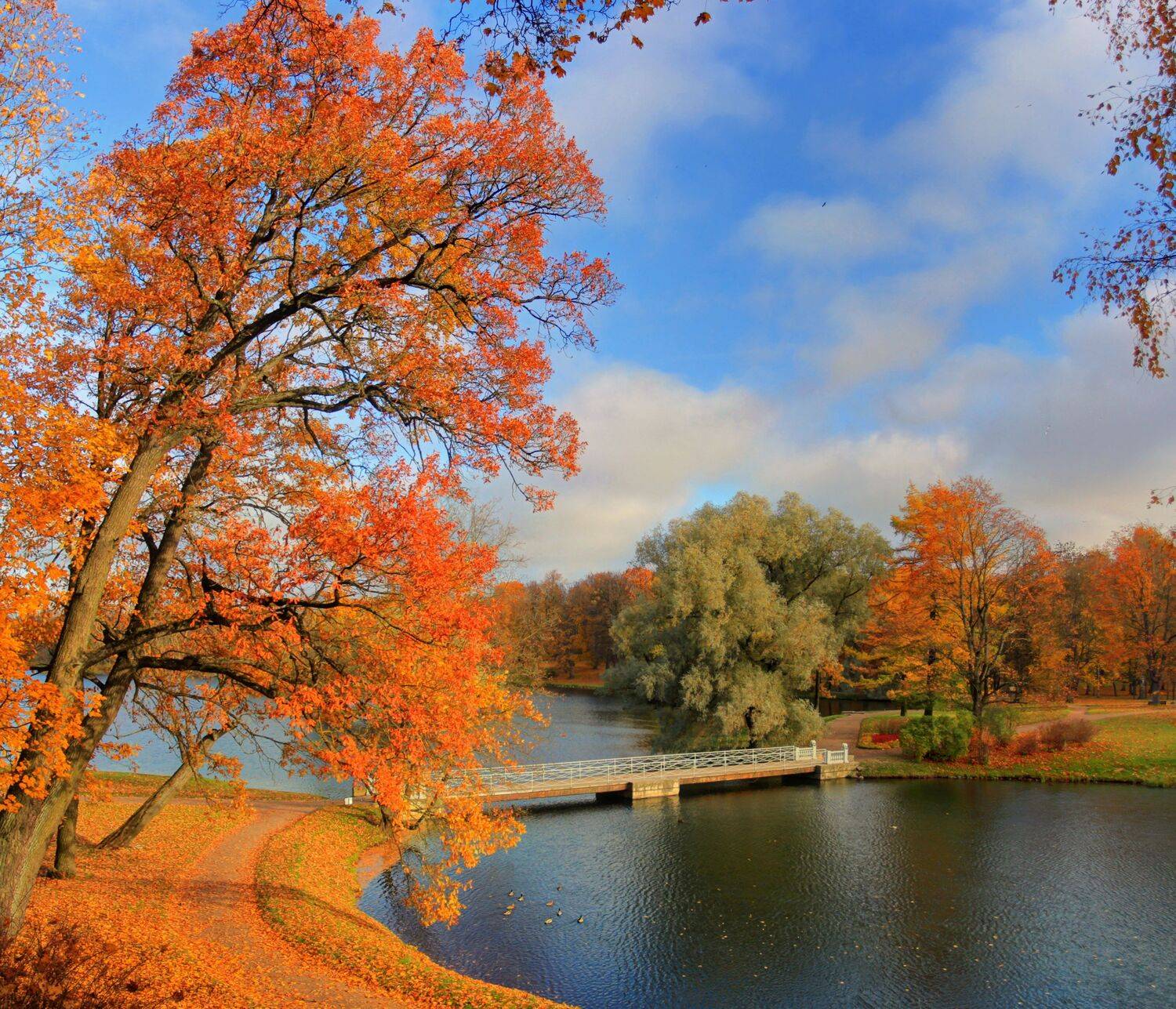 , Сергей Григорьев