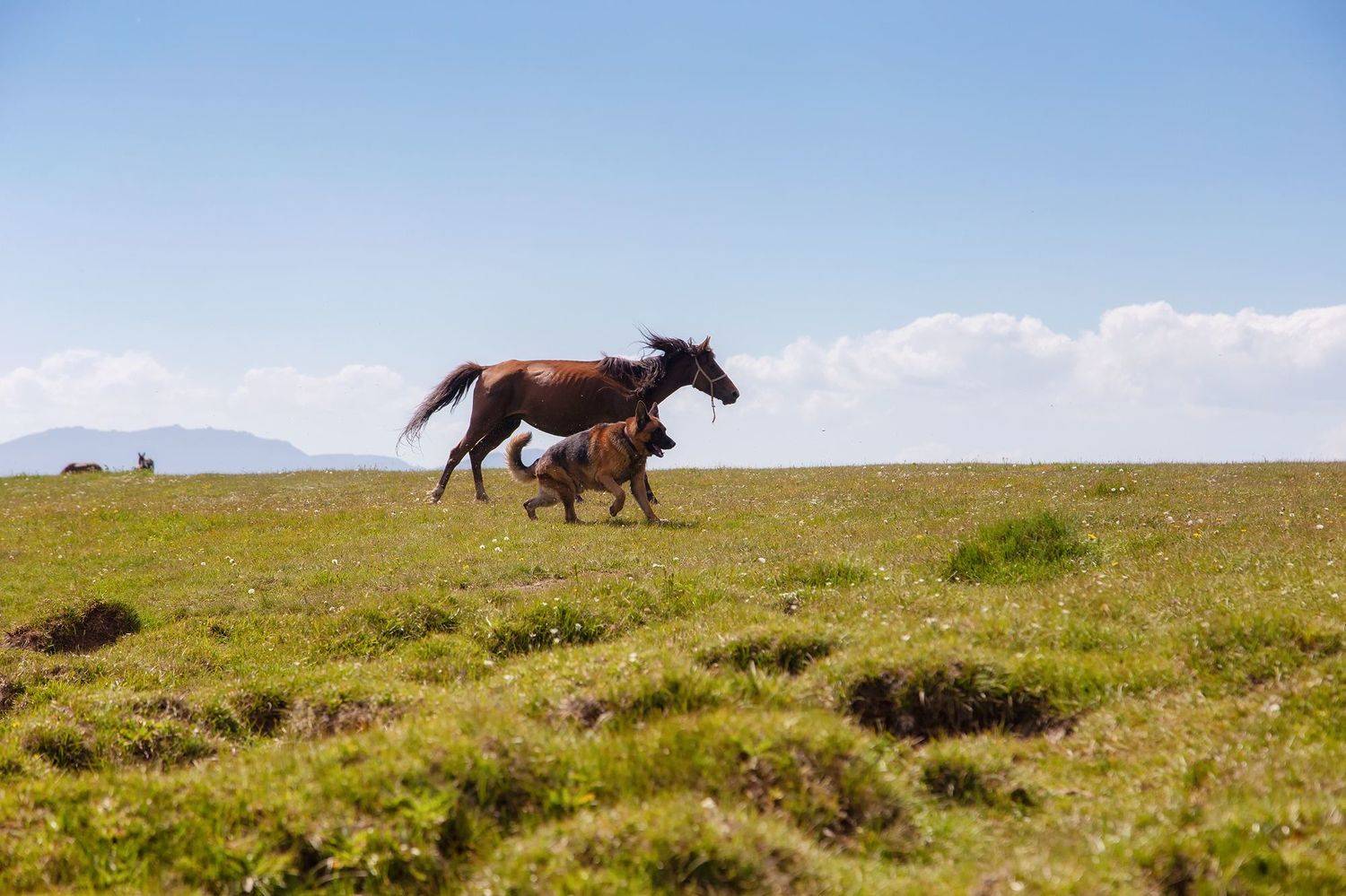 кыргызстан, сон-куль, Элина Магалимова