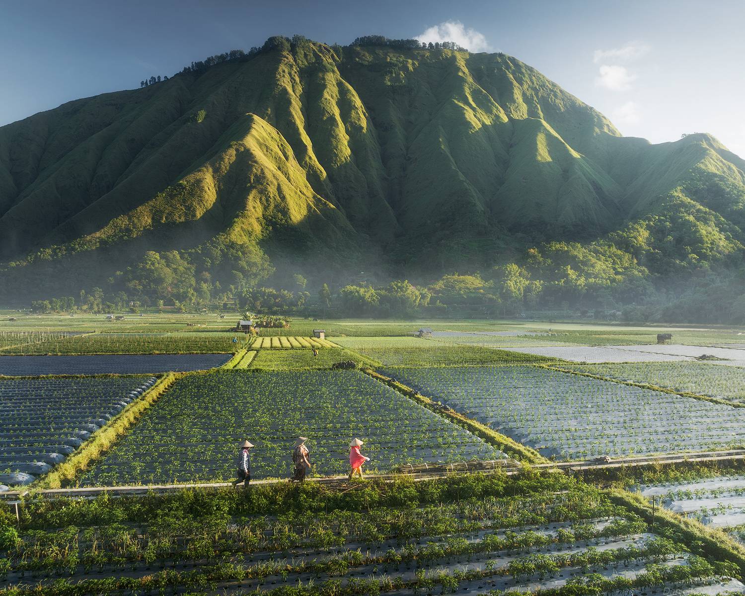 , Даниил Коржонов