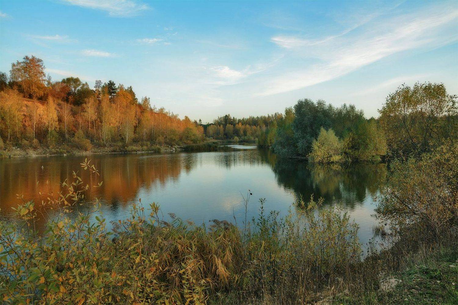 , Анатолий Зверев