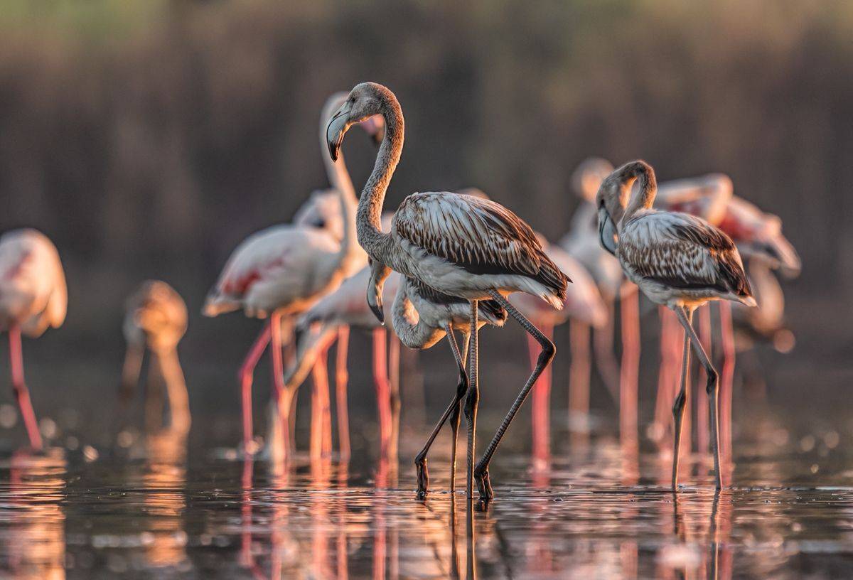 , Sławek Przybylski