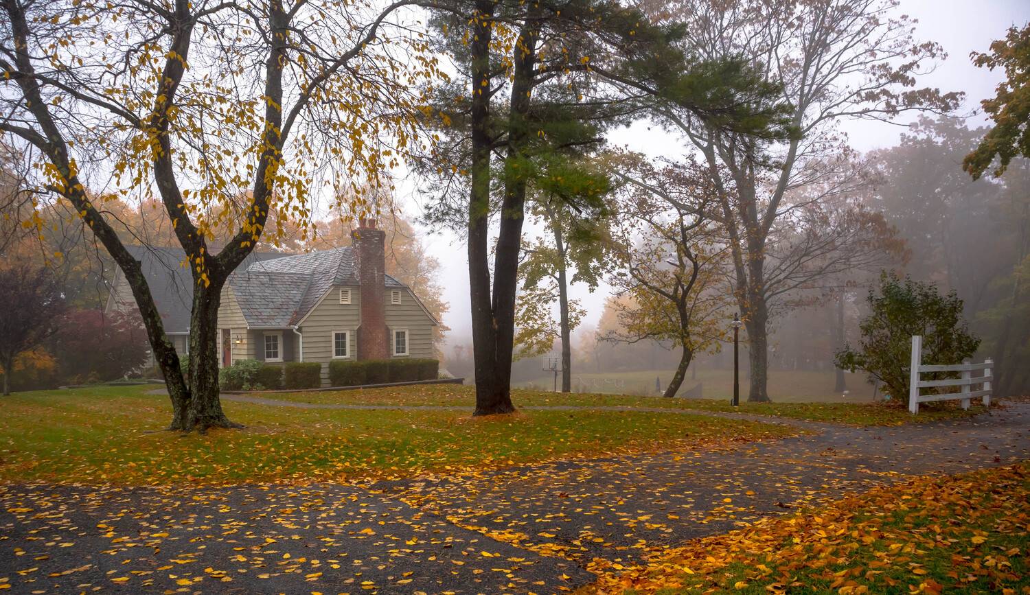 природа,осень,пейзаж,деревья,листья,дом,усадьба,туман,, Антонина Яновска