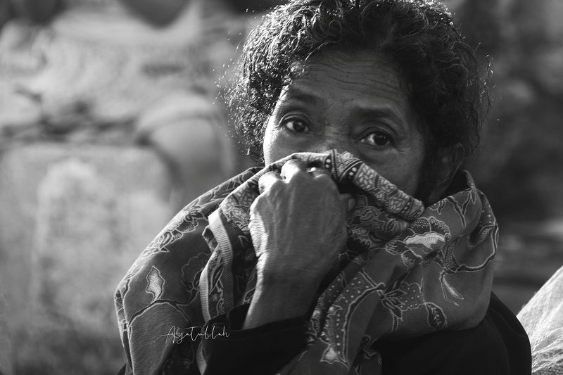 every thing live фото превью