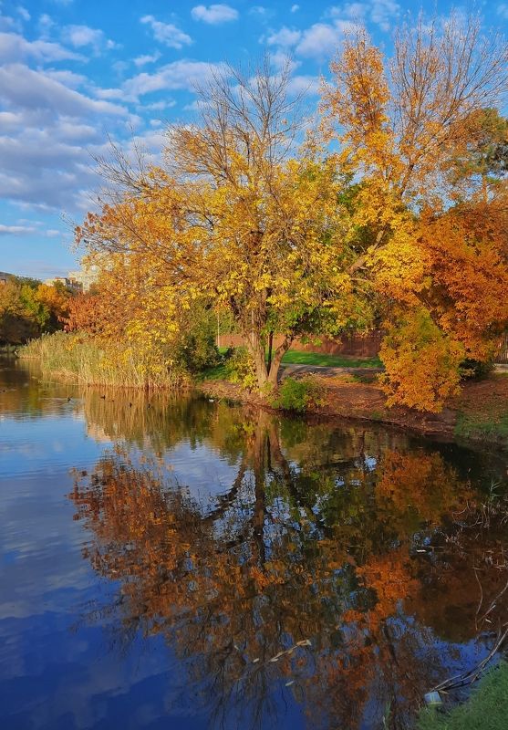 пейзаж,осень,красота,природа Осеннее наваждение... фото превью