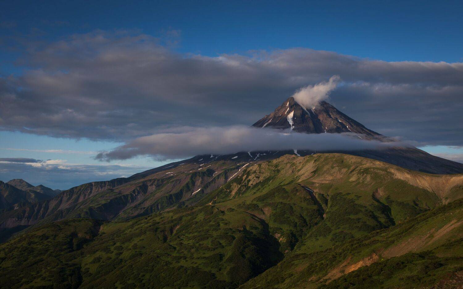 , Бравичева Анастасия