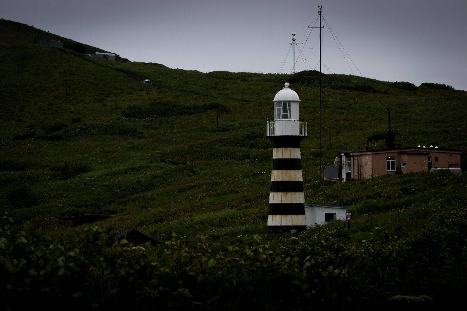 , Бравичева Анастасия