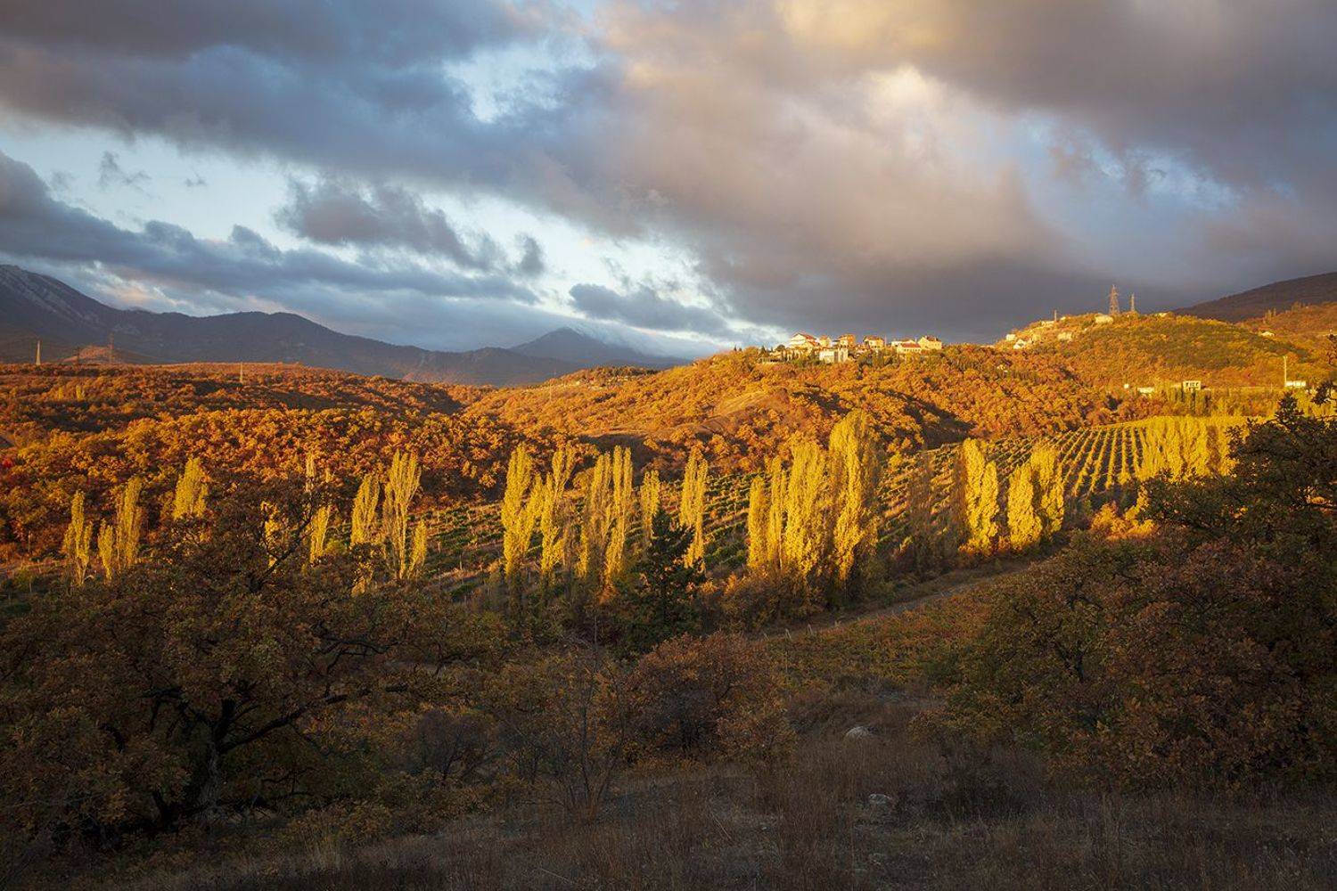крым, осень, алушта, виноградники, горы, пейзаж, природа, утро,, Сергей Шульга