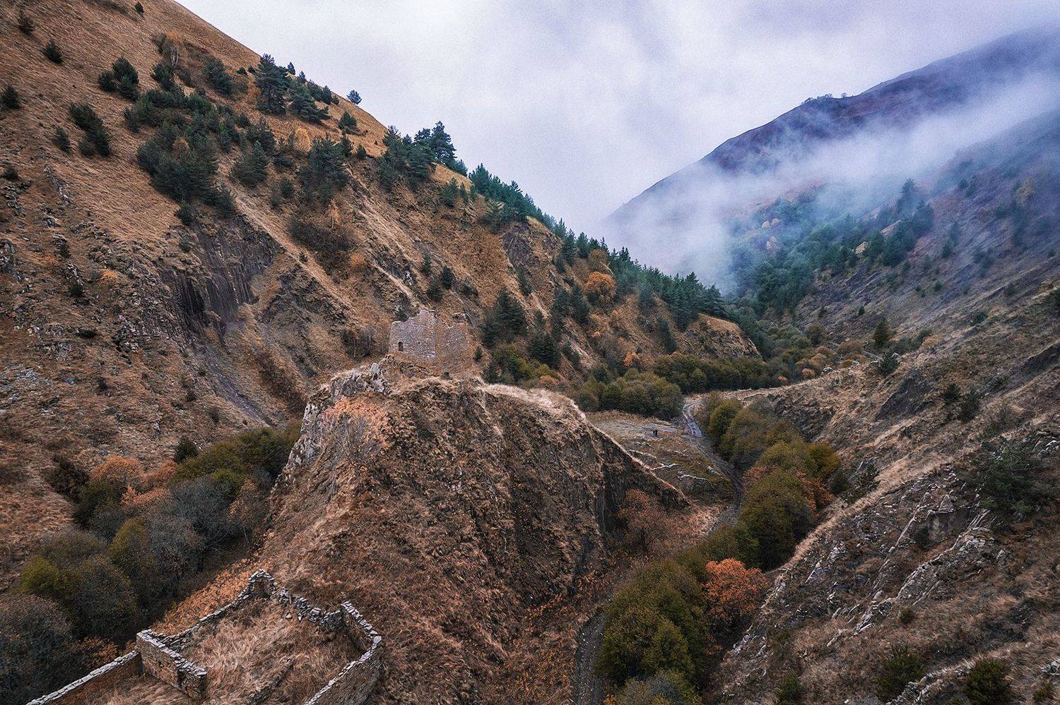 чечня, никарой, горы, Владимир Липецких