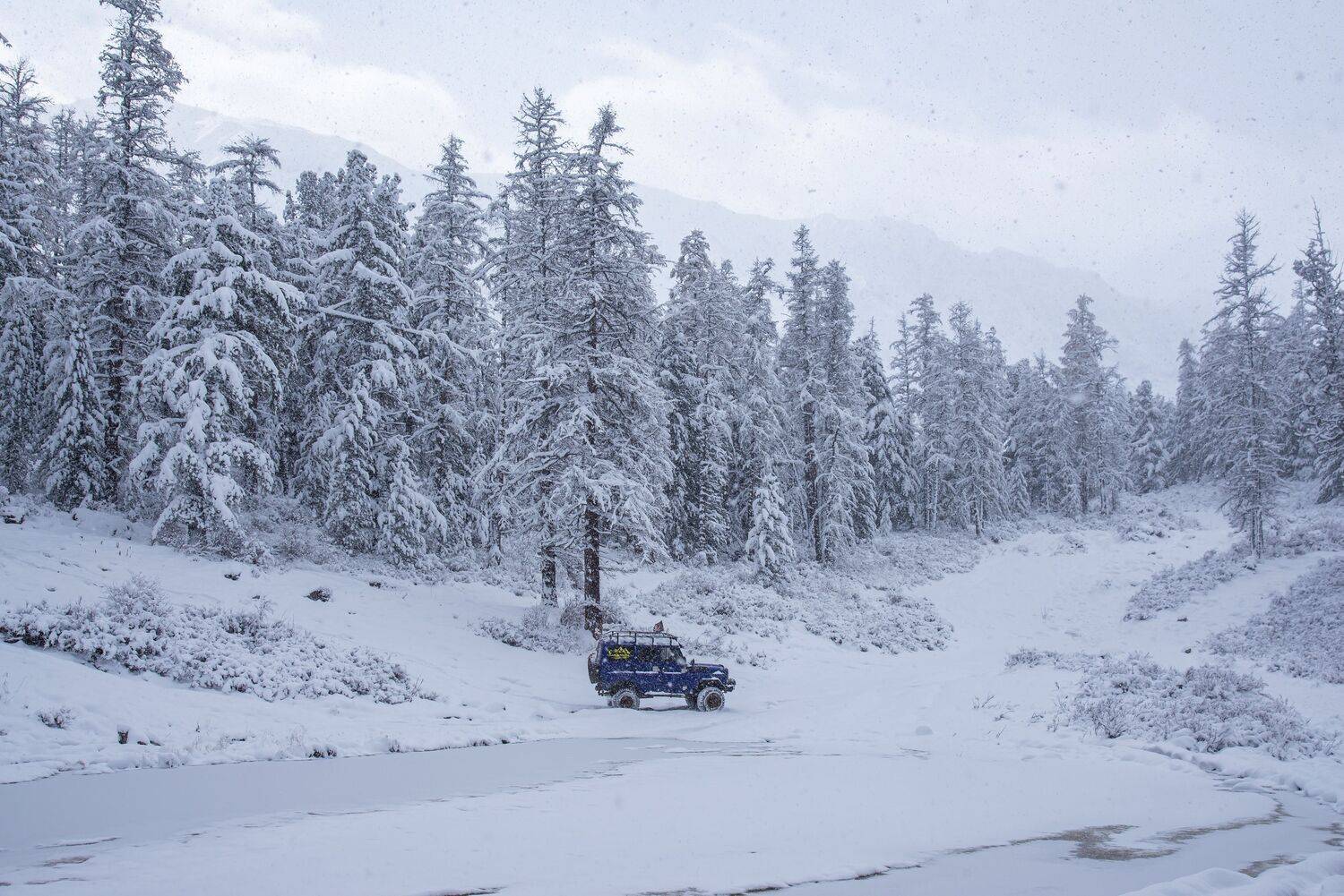 алтай. осень. горы., Евгений Дроботенко
