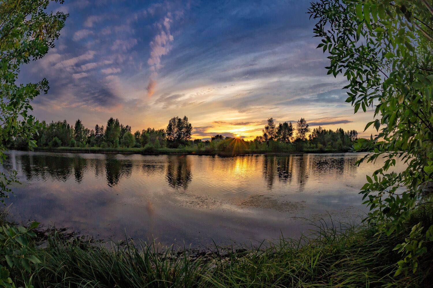 , Максим Подосинников