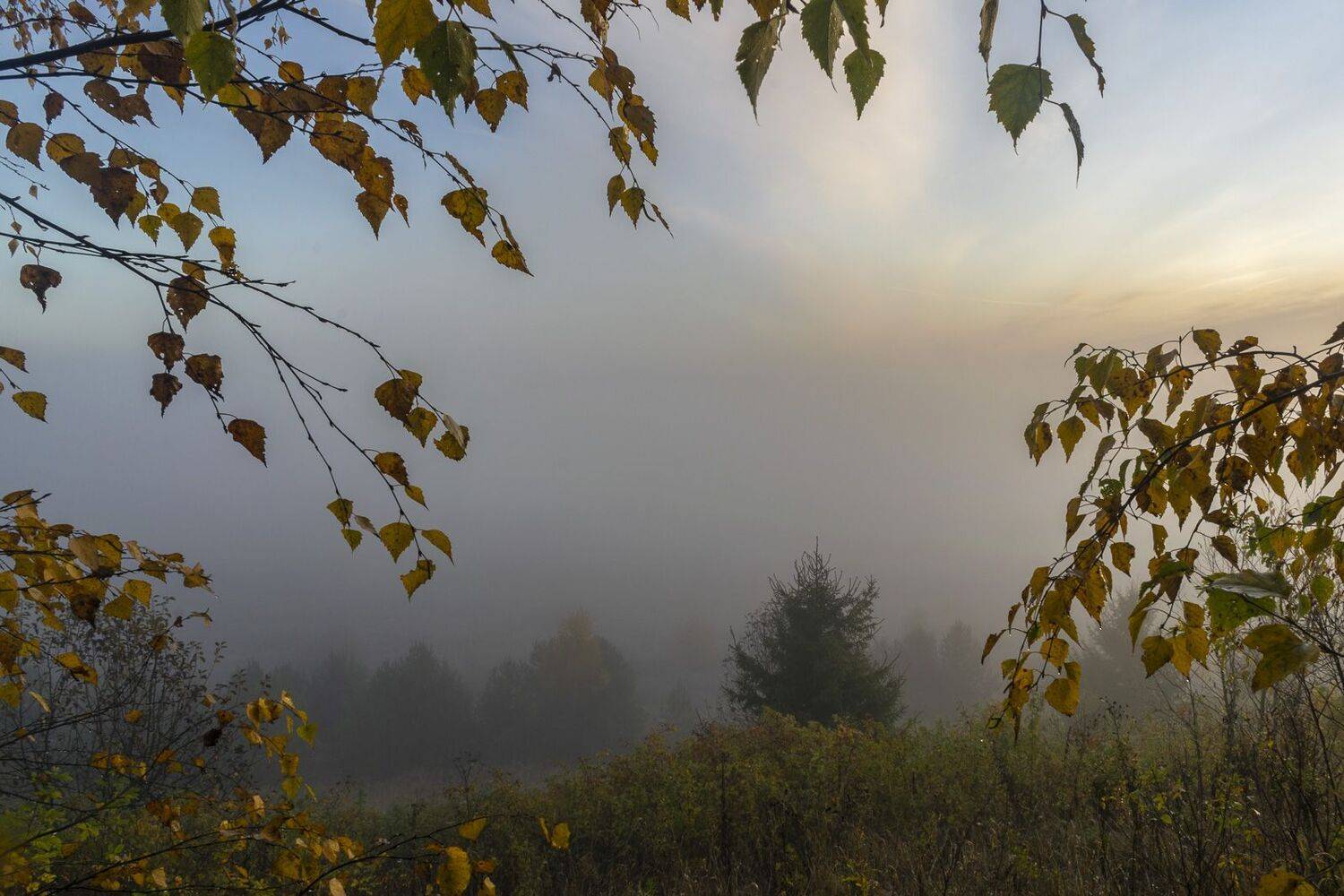 , Галина Луценко