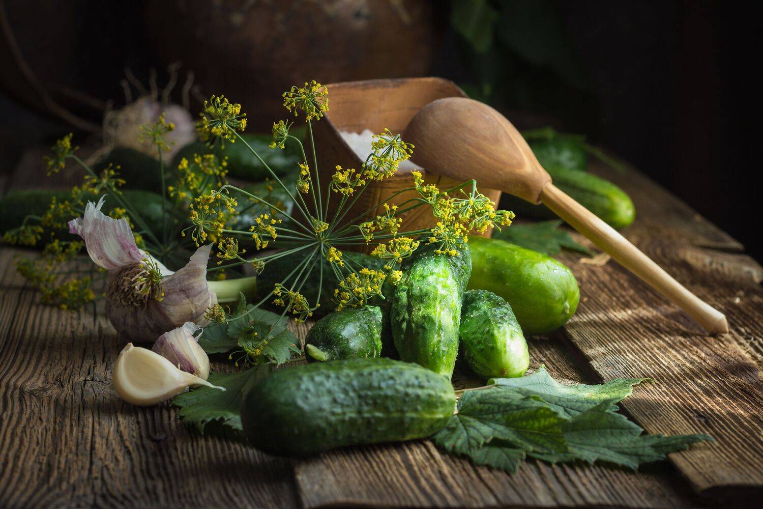 огурцы, чеснок, соль, укроп, Хвойнова Елена