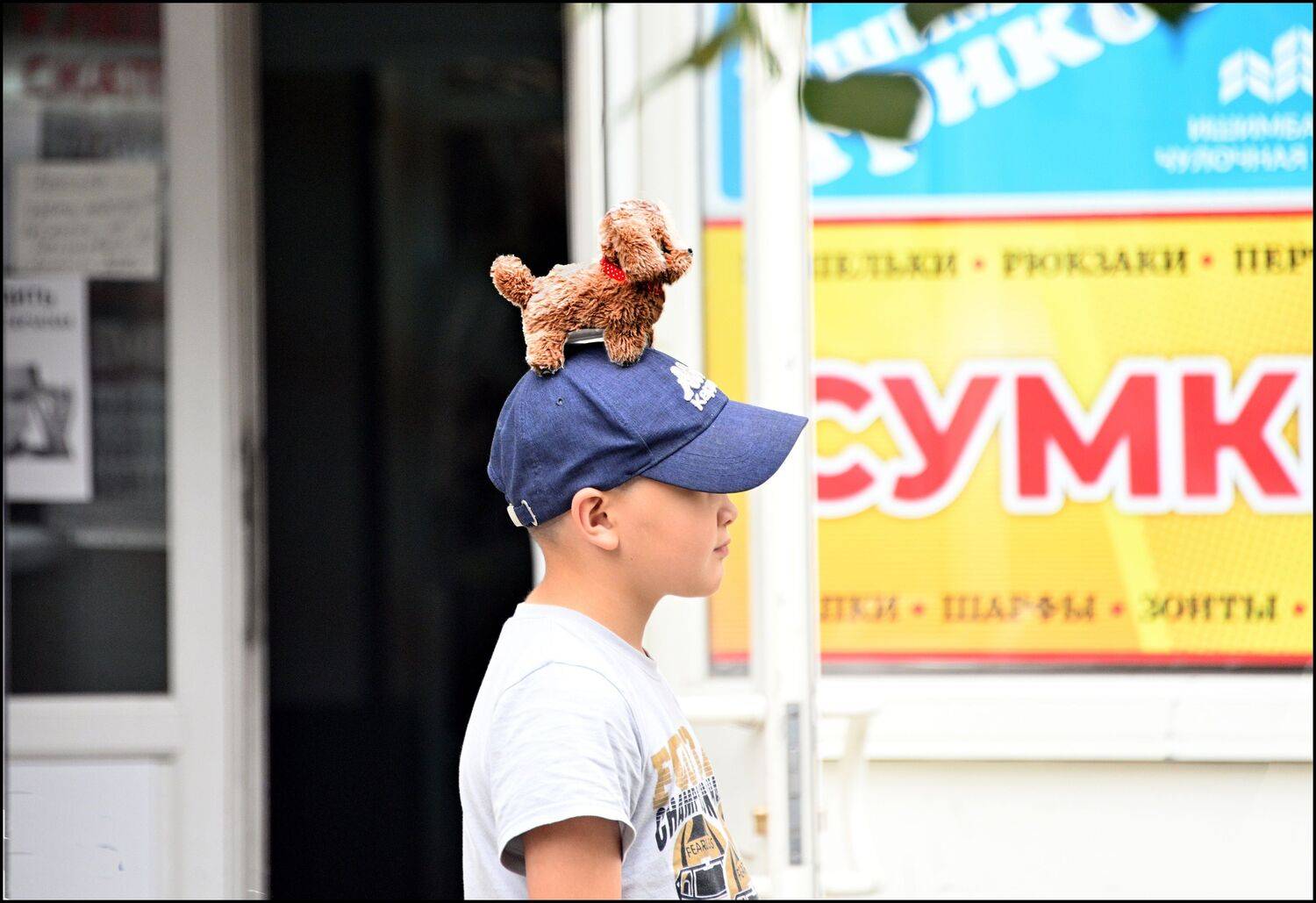 , Меднов Влад