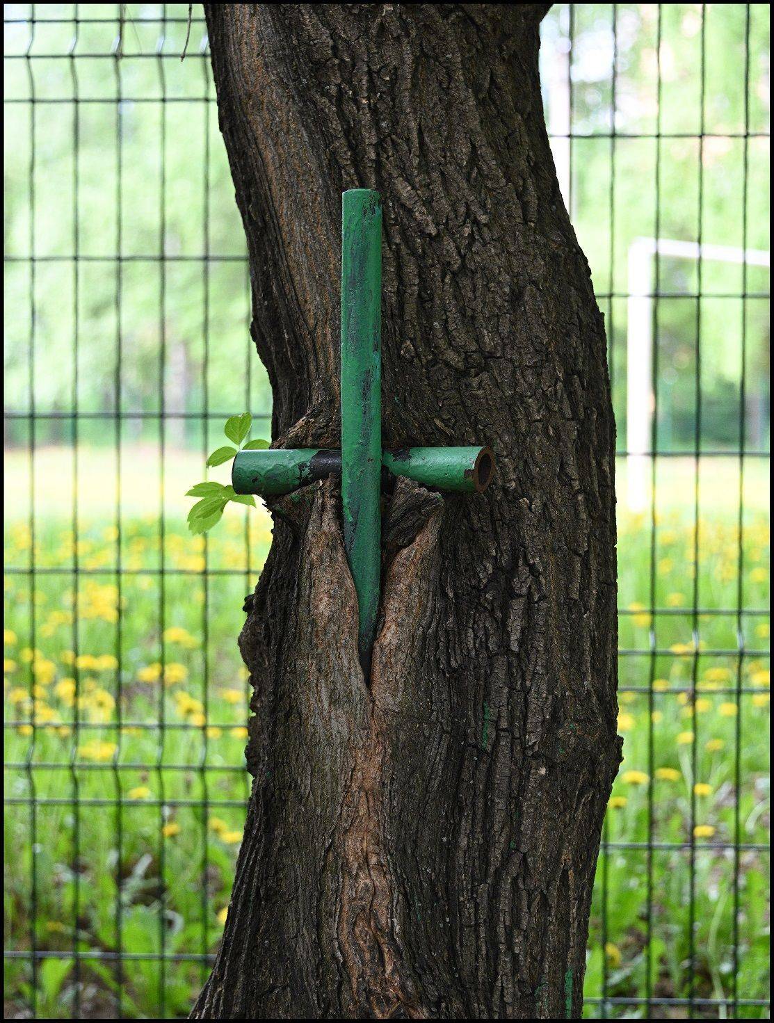 , Меднов Влад