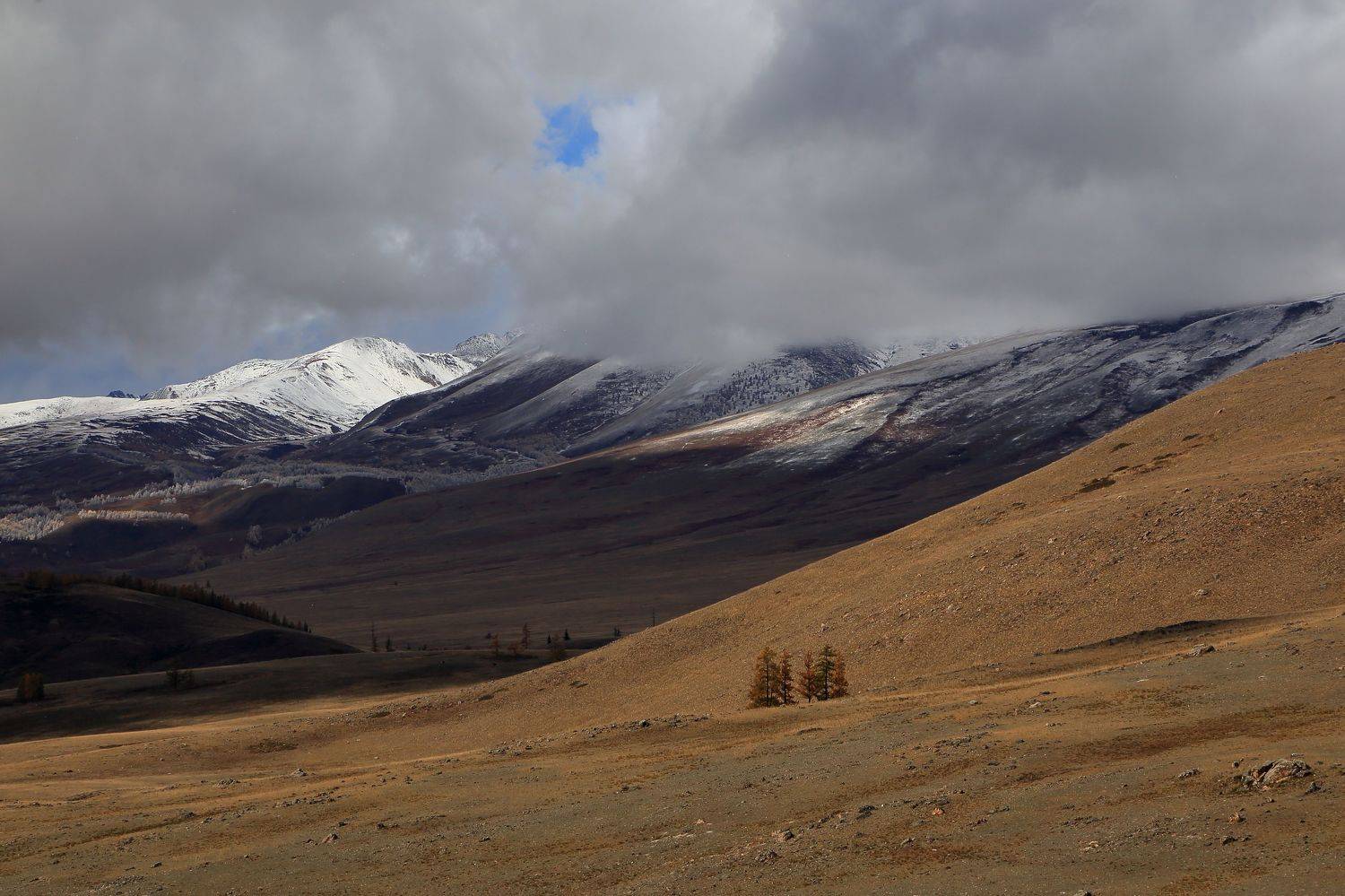 , Евгений Зинов