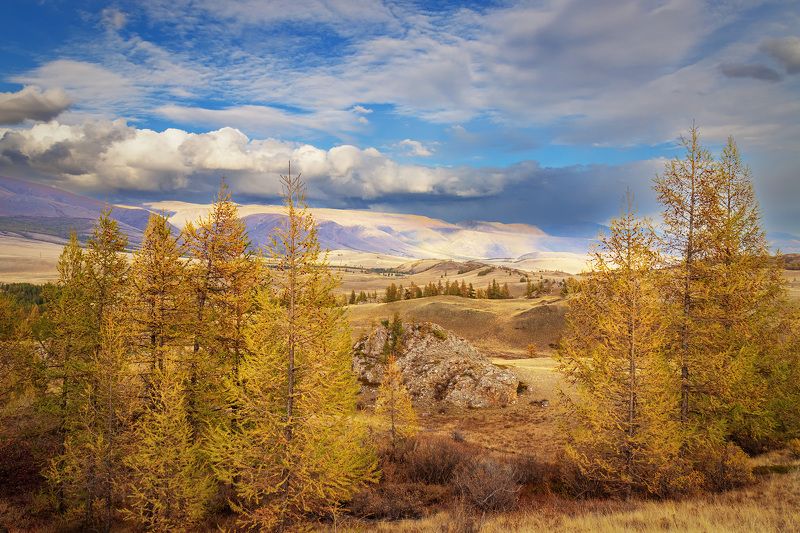 Золотой Алтай фото превью