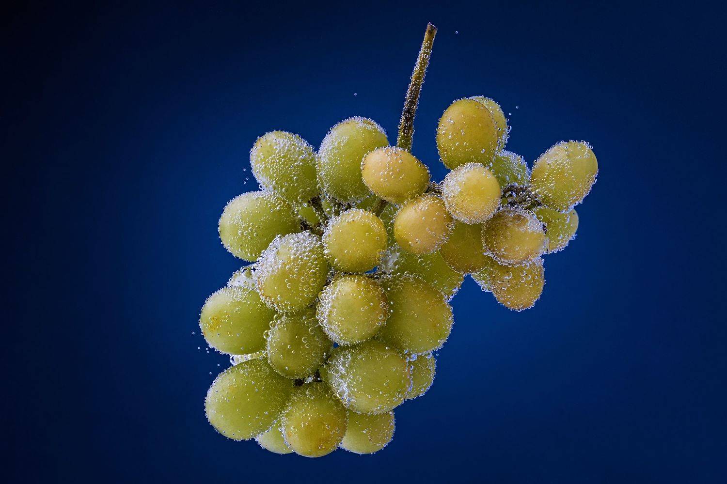 виноград, капли, пузыри, вода, Дёгтев Евгений