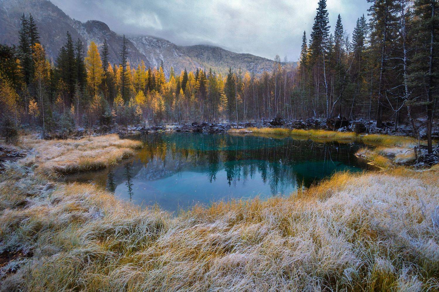 , Юрий Столыпин