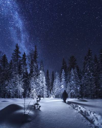 Молчаливый наблюдатель