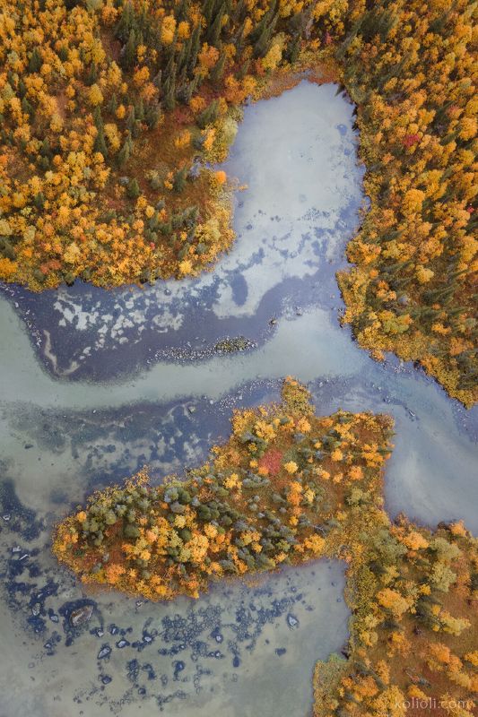 ловозерские тундры, луяврурт, кольский полуостров, заполярье, осень, мурманская область, хибины, текстуры, drone photo, dji, фактуры, орнаменты севера, природа севера, природа заполярья Фрагменты севера большие и малые. фото превью