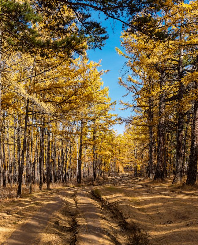 ольхон, байкал, хобой, песчанка, узуры Ольхонские дороги фото превью