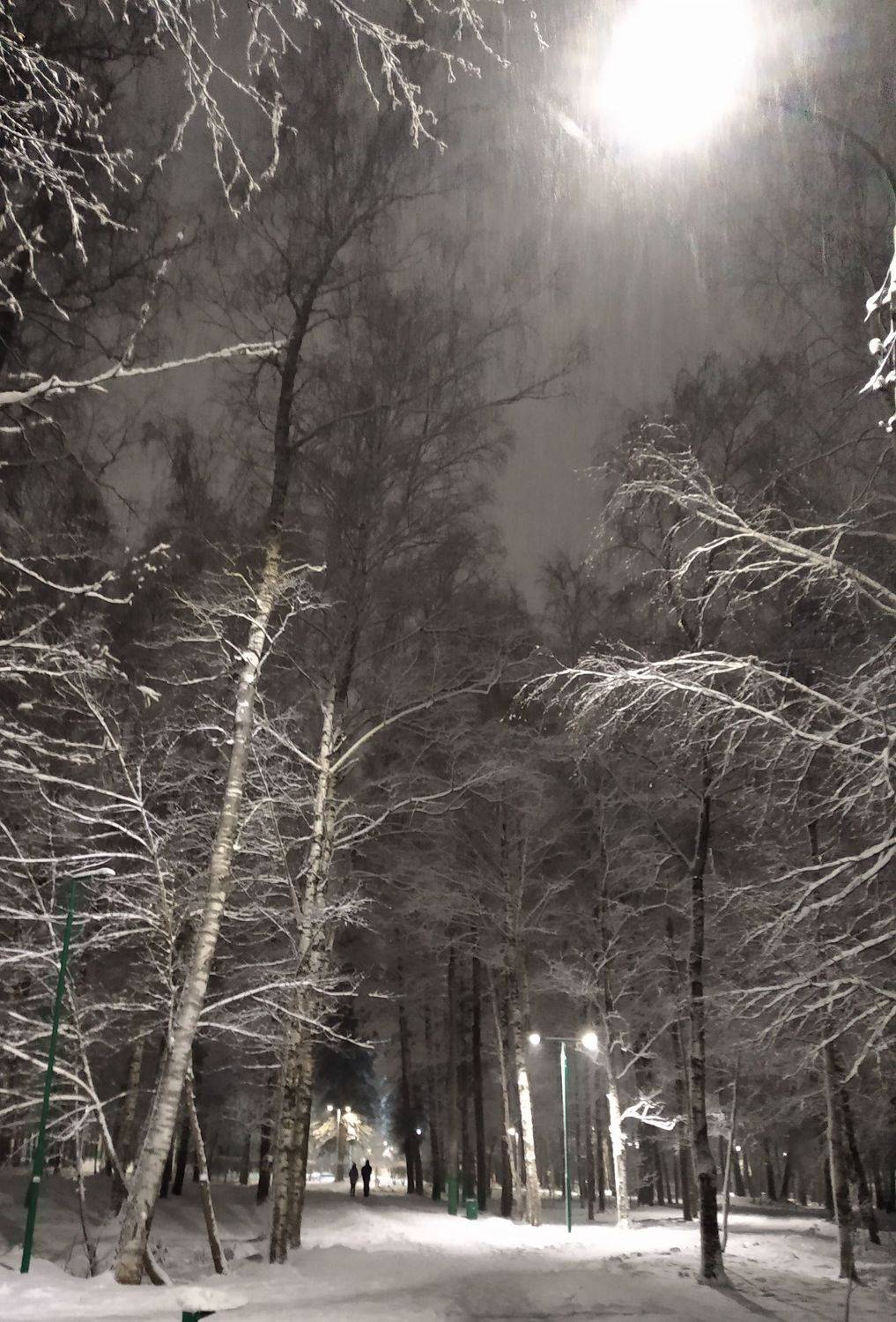 , ИГОРЬ МЕЛЬНИКОВ