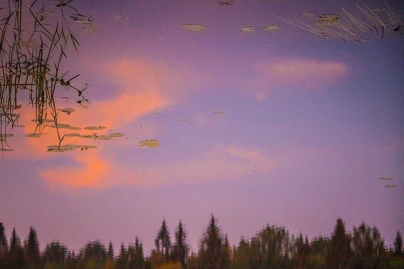 Фантазии на закате фото превью