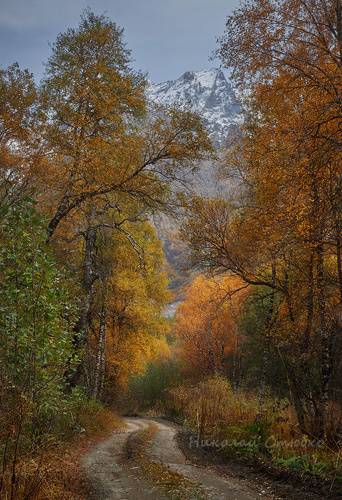 По дороге в осень 2