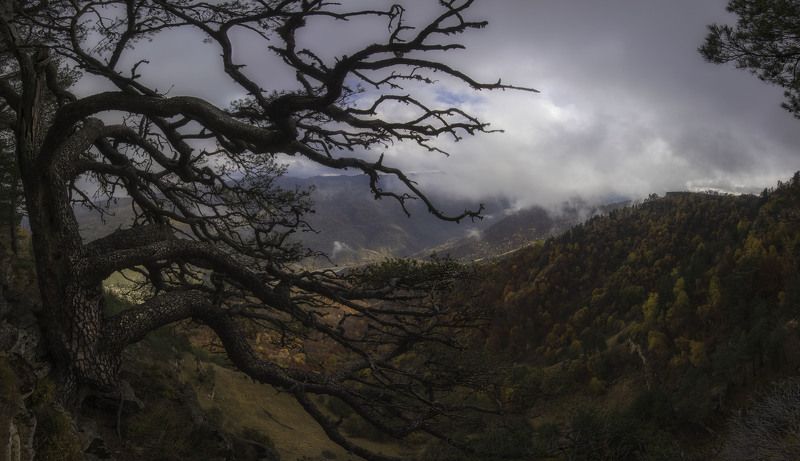 золотая осень, горы *** фото превью