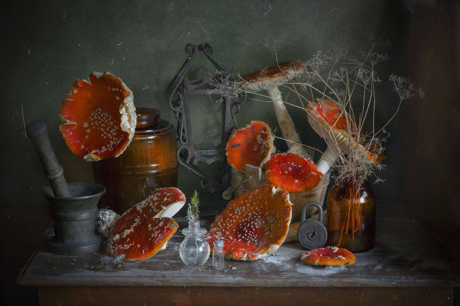 мухоморы, грибы, натюрморт, Зимина Лионелла