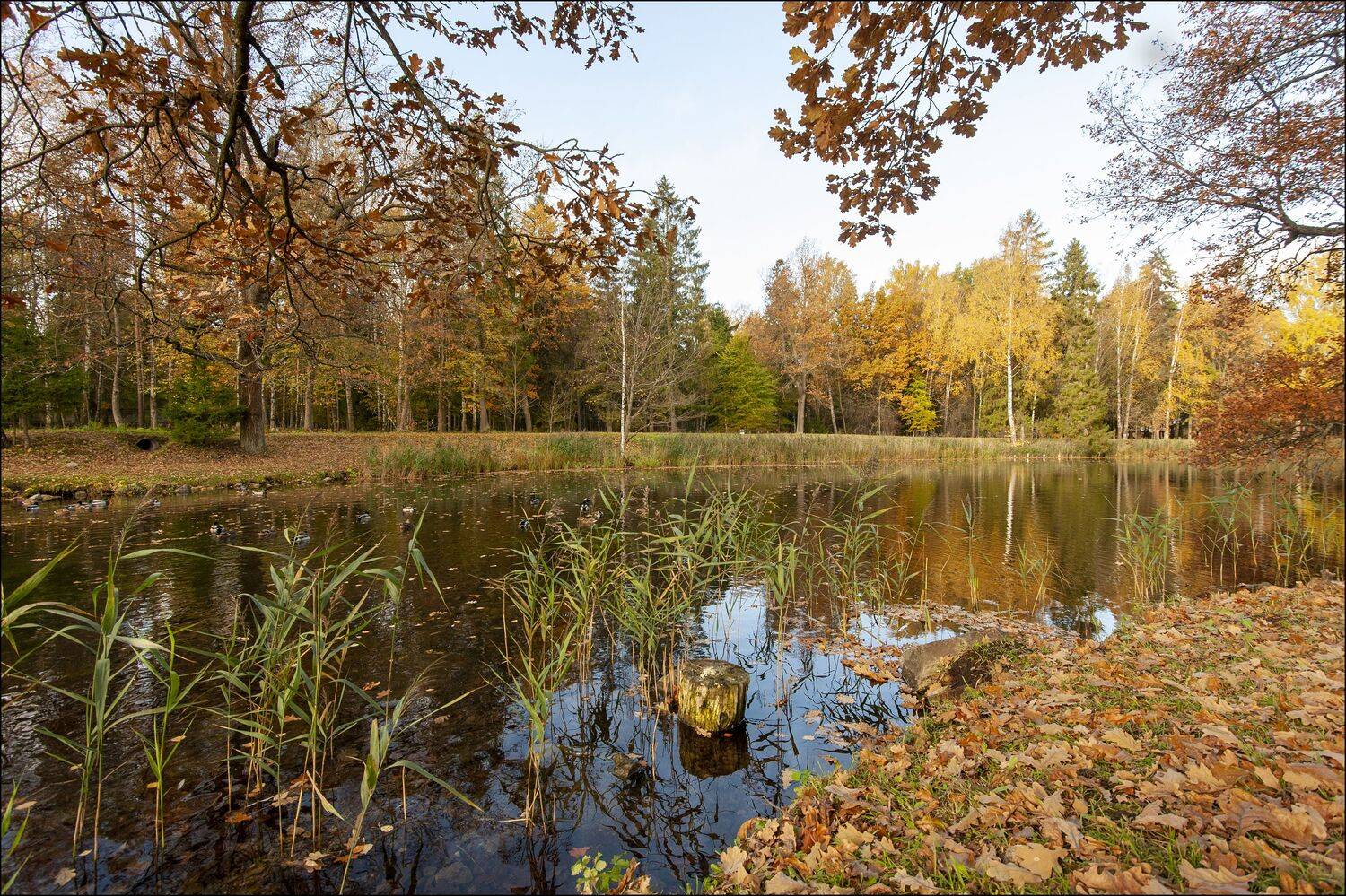 , Георгий Сапожников