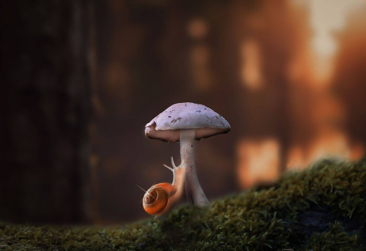 , Julia Khvorostyanaya