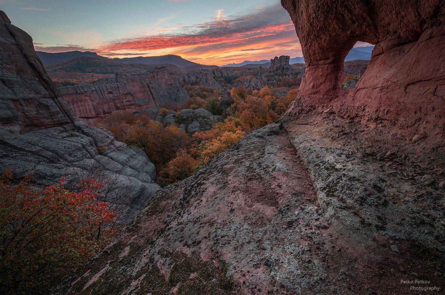 , Петко Петков