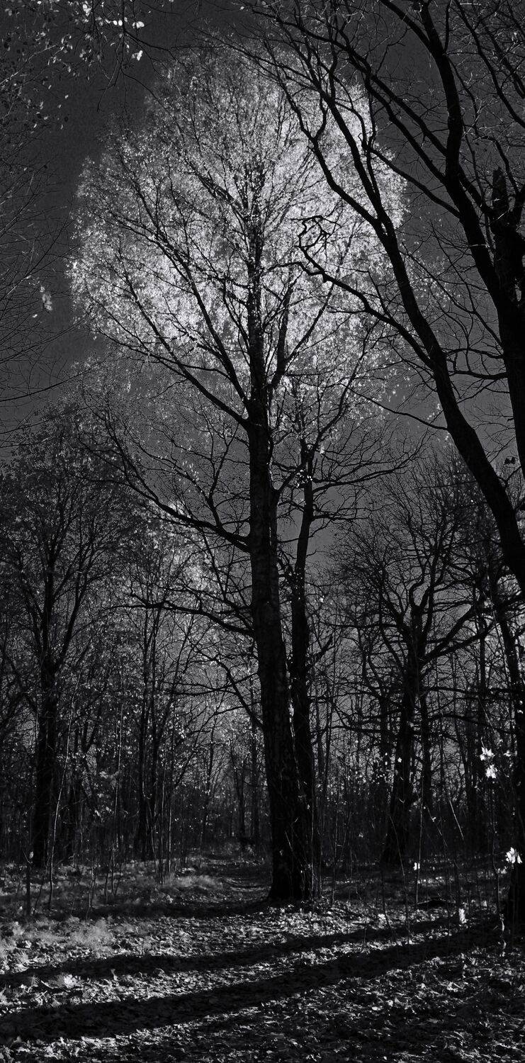 , Сергей Григорьев